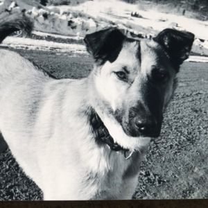 Meet your Posher, Nancy